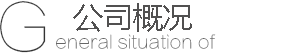 上海金勵緻網絡科技有限公司概況